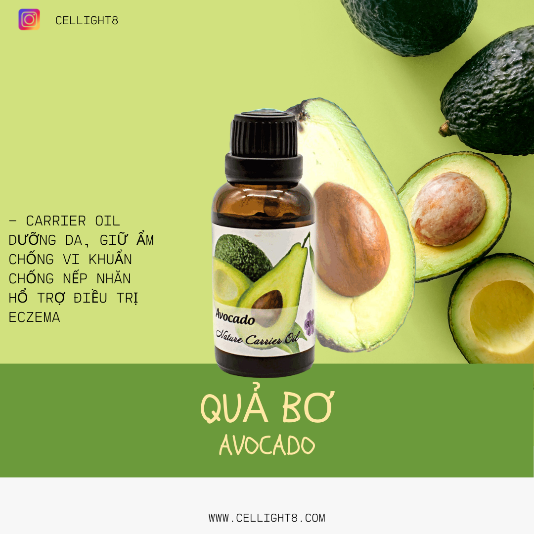 Dầu nền massage bơ - Avocado carrier oil