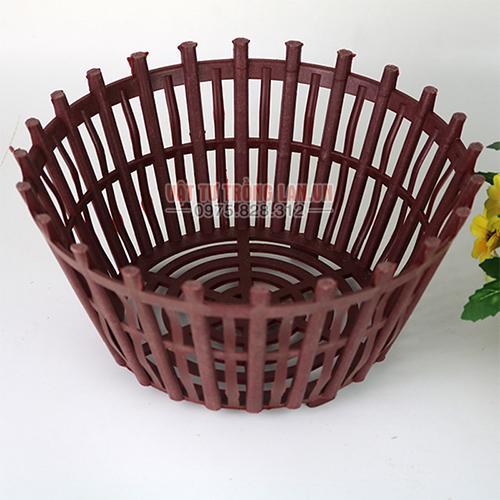 Chậu nhựa nâu có nan phụ trồng Lan phi 25 cm