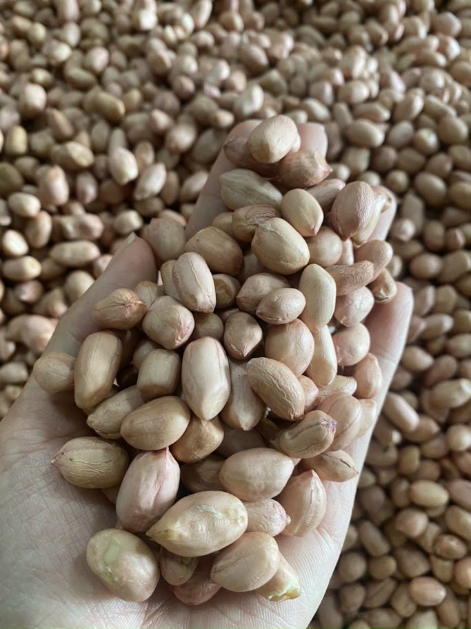 500gr lạc da trắng