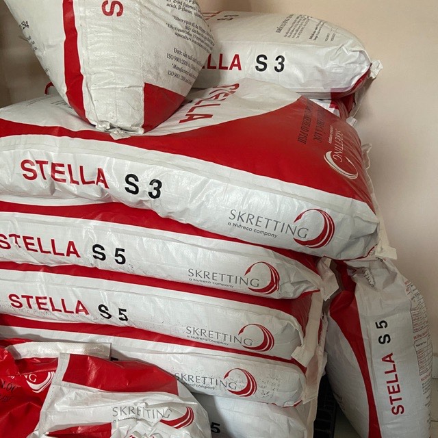 Combo 6KG Thức ăn Cá Koi, Ba Đuôi, Cá Cảnh,... CÁM STELLA S5mm