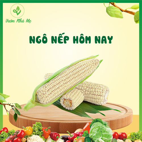[Giao nội thành Hà Nội] Ngô nếp Vườn Nhà Mẹ - 1kg bắp nếp dẻo ngon, ngọt bùi - Rau củ quả tươi, sạch, chuẩn VietGap