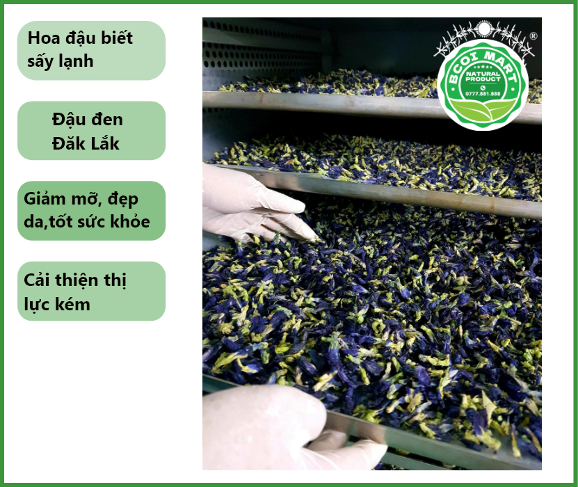 Trà hoa đậu biếc sấy khô - Tra hoa dau biet say kho