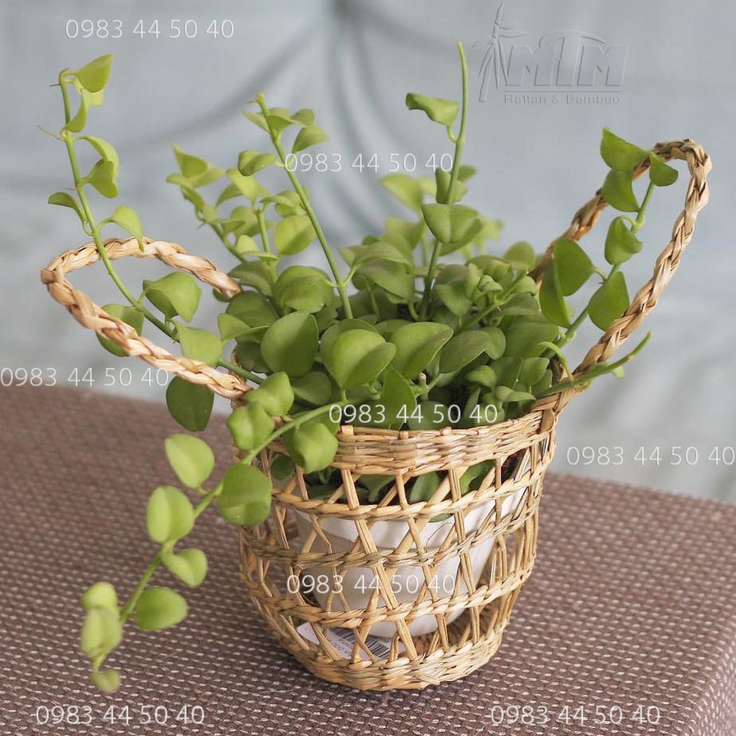 Giỏ cói trồng cây trang trí tiểu cảnh, đựng hành tỏi khô.