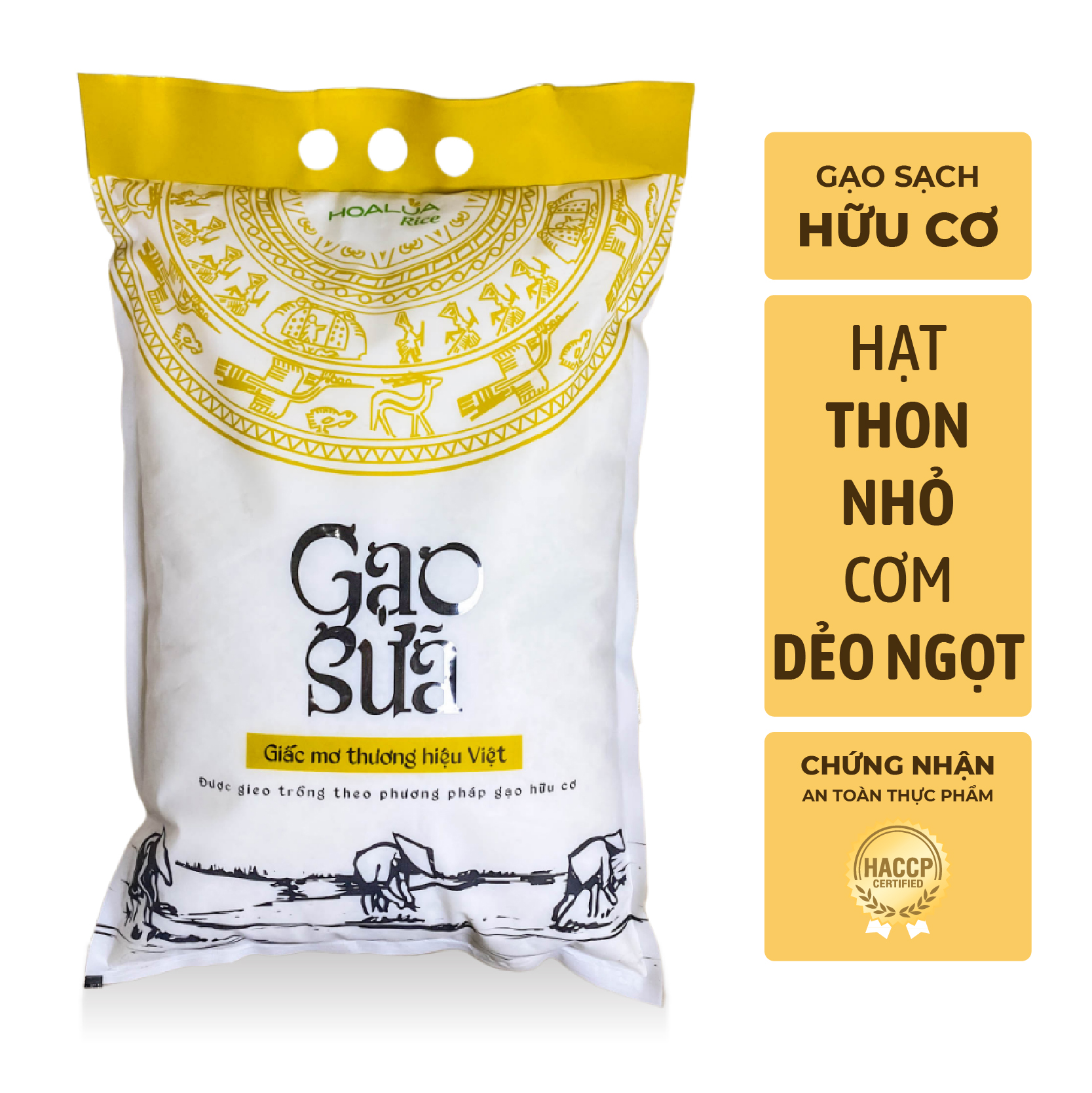Gạo Sạch Sữa - Vị Ngọt Sữa, Dẻo Mềm - Túi 5kg