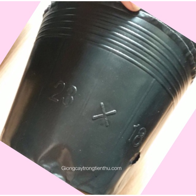 TÚI BẦU TRỒNG CÂY HOA ,CÂY CẢNH,CÂY ĂN QUẢ... 50 cái