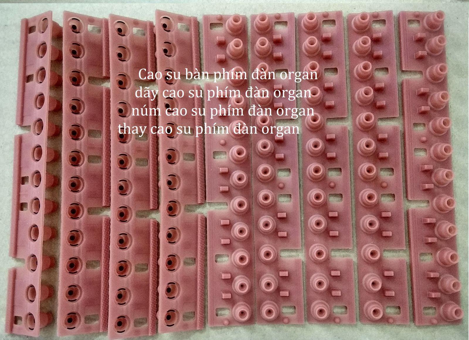 Cao su phím đàn Organ yamaha ( 1 Octave). - 2
