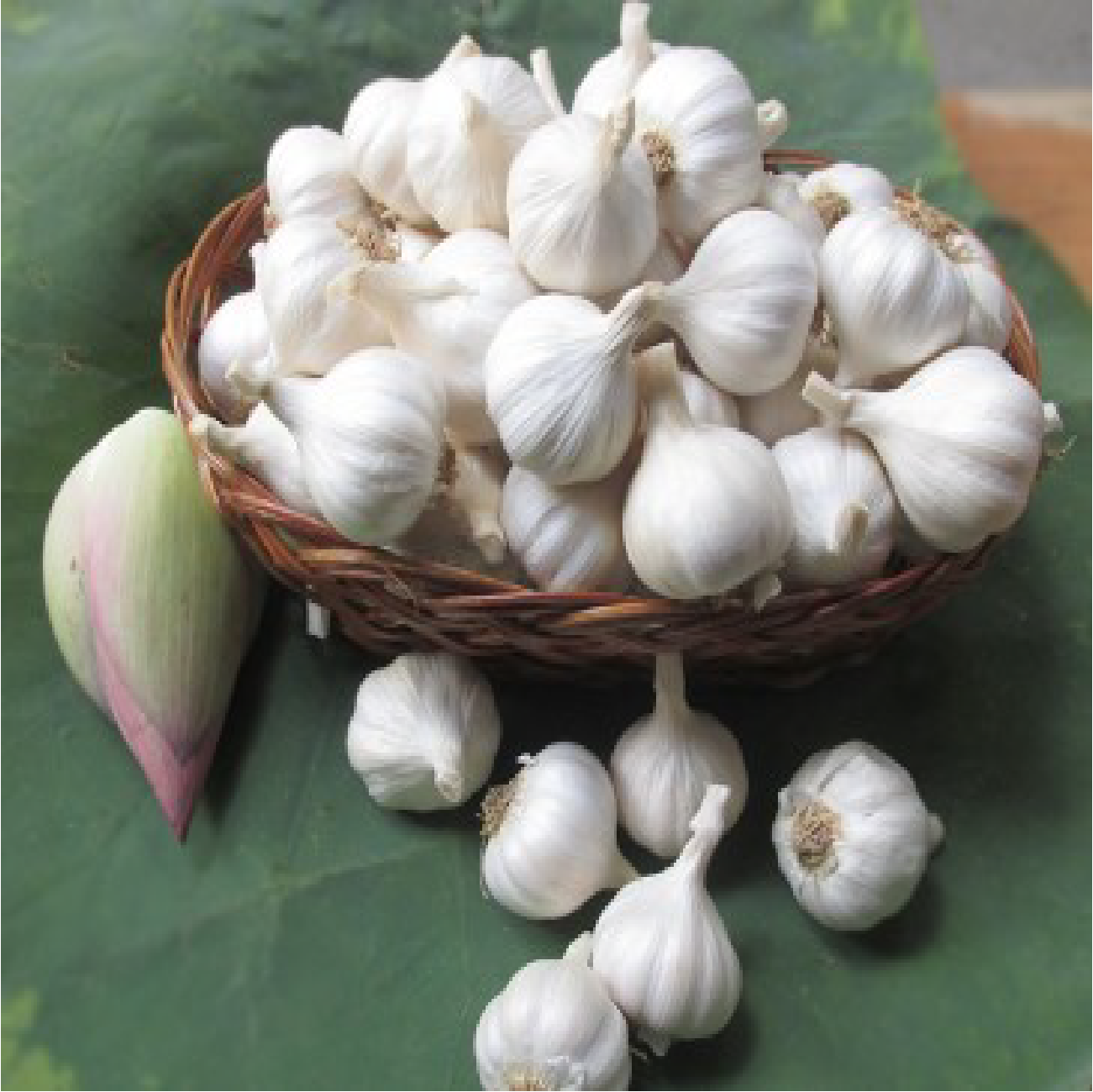 Tỏi Lý Sơn chính gốc - túi 100g, Vương Quốc Tỏi - loại Gold nhiều tép, đã cắt cuốn, làm sạch vỏ sạch sẽ - Chất lượng cao, phù hợp biếu tặng,
