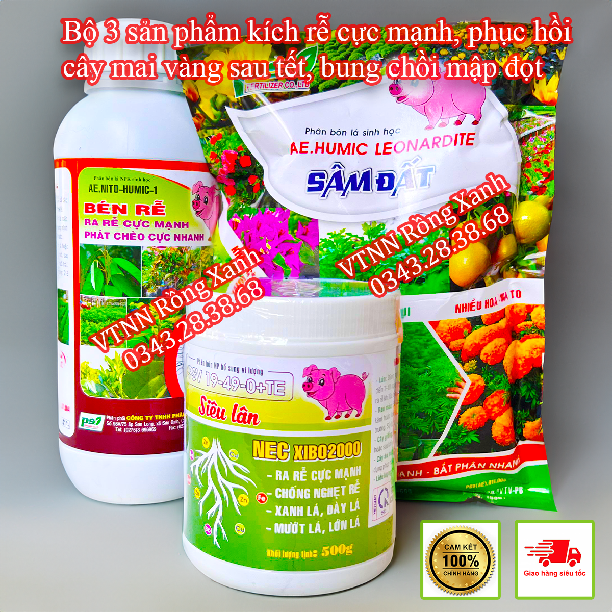 Bộ 3 phân bón phục hồi cây mai vàng kích rễ cực mạnh bung chồi mập đọt Bén rễ 1 lít + Siêu lân +Sâm đất