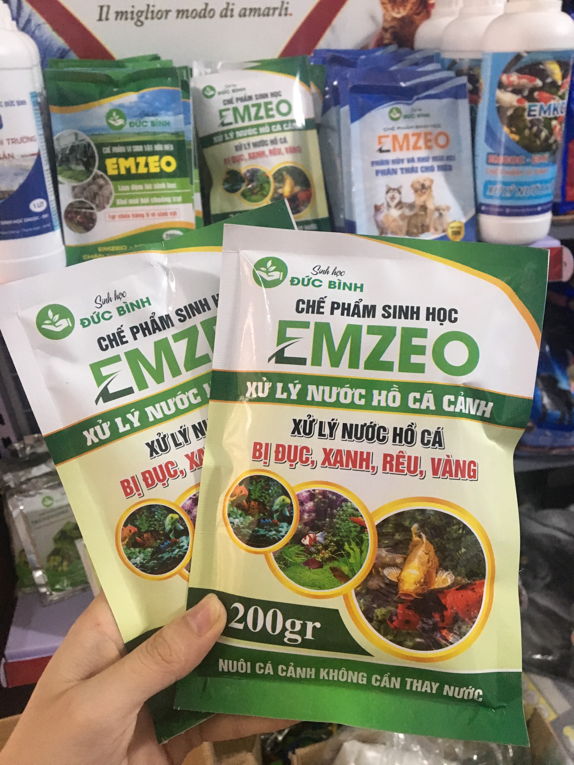 MEN VI SINH XỬ LÝ NƯỚC HỒ CÁ CẢNH BỊ ĐỤC, XANH, RÊU, VÀNG - NUÔI CÁ CẢNH KHÔNG CẦN THAY NƯỚC