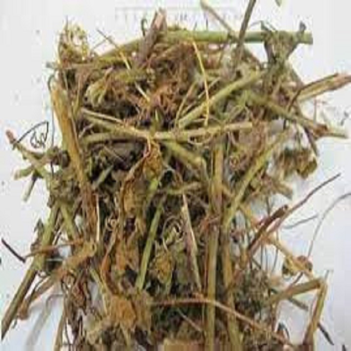 500g Cây dây lưới  kho an vat