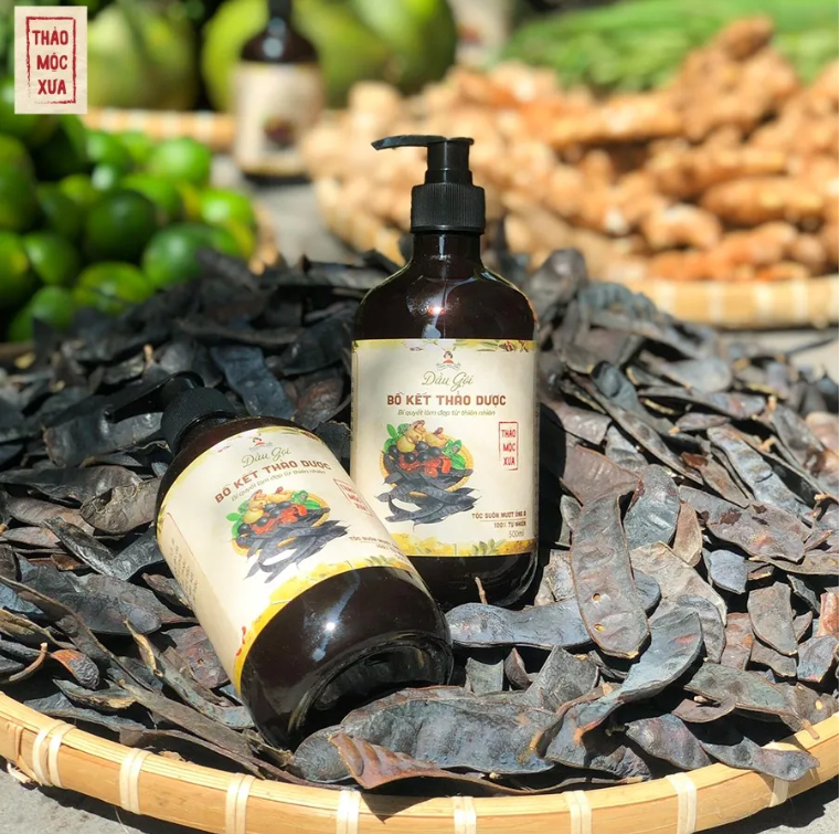 Dầu gội bồ kết thảo dượᴄ cô đặc 500gr - ngăn gàu , rụng tóc dầu gội bồ kết thảo mộc 800ml sạch gàu dầu gội bồ kết thảo dượᴄ cô đặc 500gr - ngăn gàu , rụng tóc