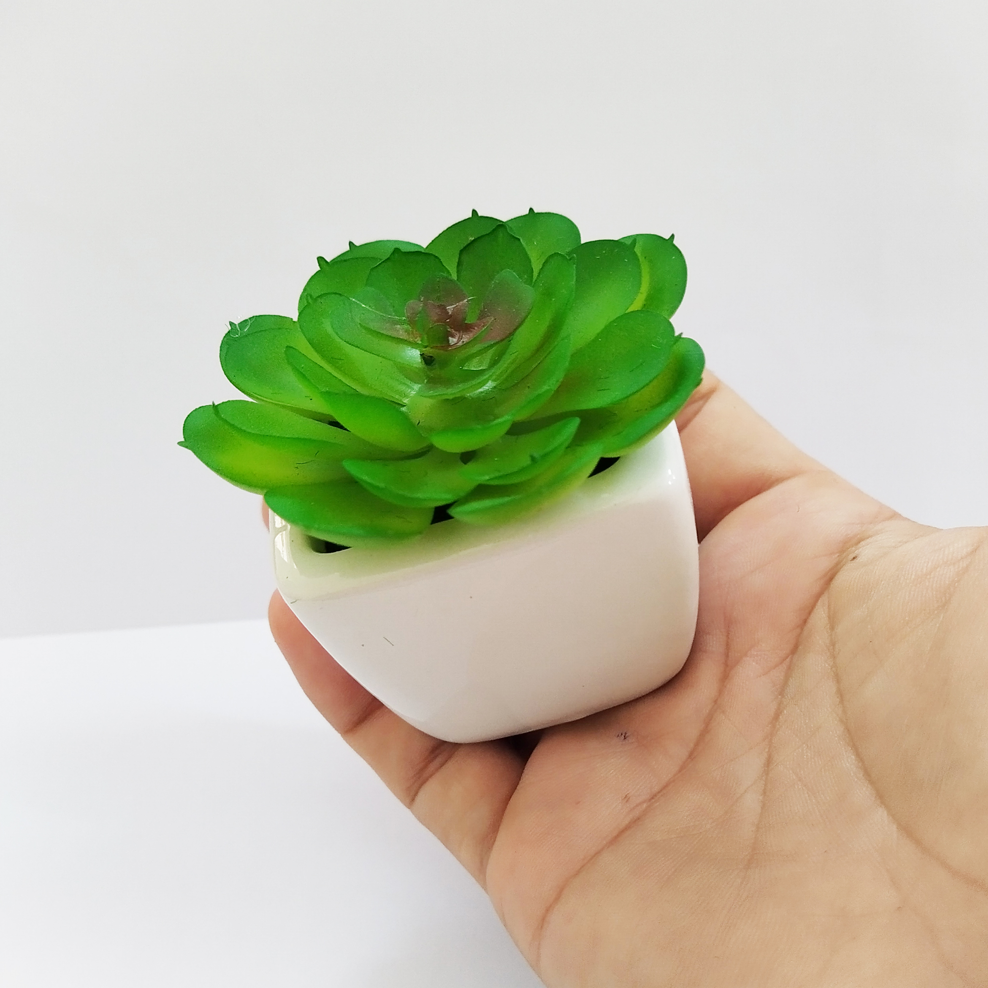 Sen đá mini trang trí tiểu cảnh – sen đá giả sen đá bất tử - quà tặng để bàn – trang trí bàn làm việc