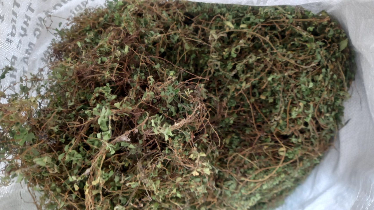 1kg cây hàn the  an vat