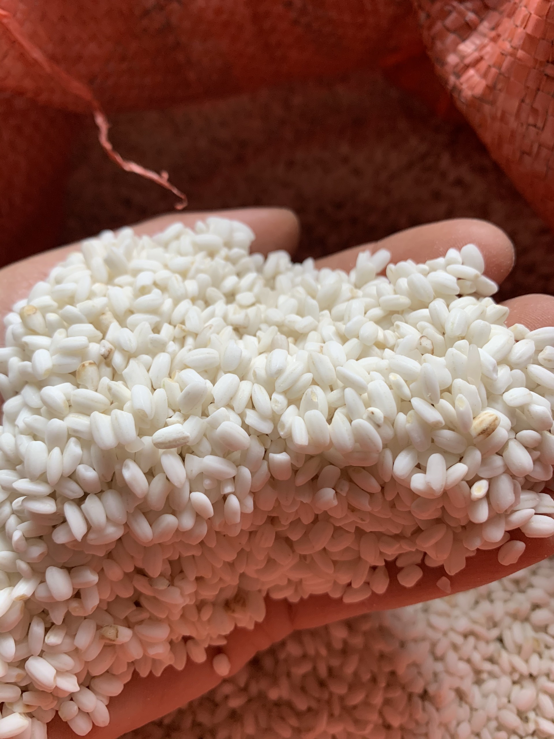 Gạo nếp cum Thảo Nguyên Farmer 1kg