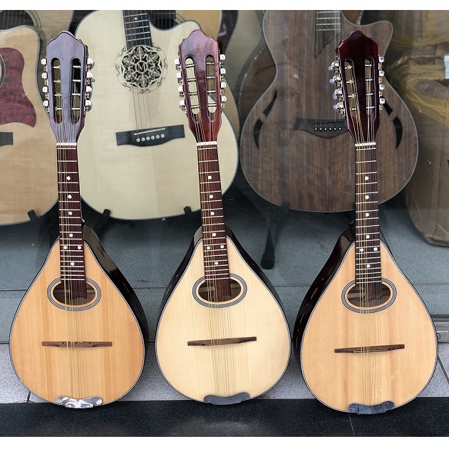 Đàn Mandolin Việt Nam