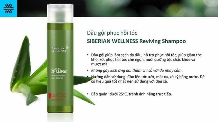 Dầu gội phục hồi tóc hư tổn thành phần chiết xuất thảo mộc thiên nhiên SIBERI