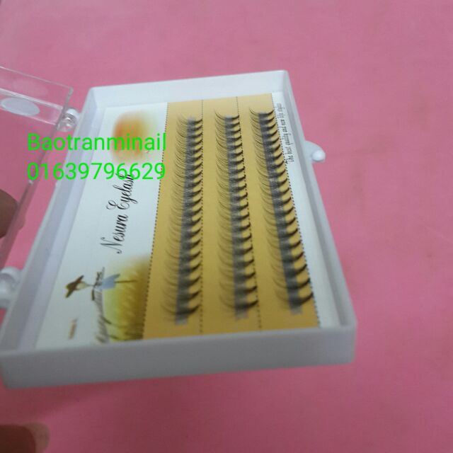 Mi nối Chùm tơ Nesura