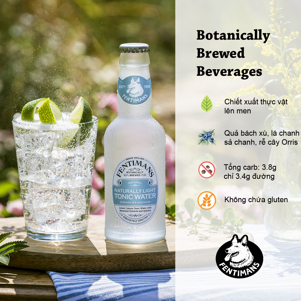 Fentimans Tonic Vị Thảo Mộc Nhẹ Natural Light Tonic Water Anh Quốc 200ml (24 Chai / Thùng)