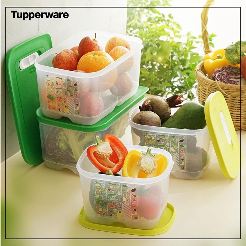 Hộp Ventsmart Tupperware, bộ hộp đựng thực phẩm có nút hô hấp 4L, 6.1L, 9.9L