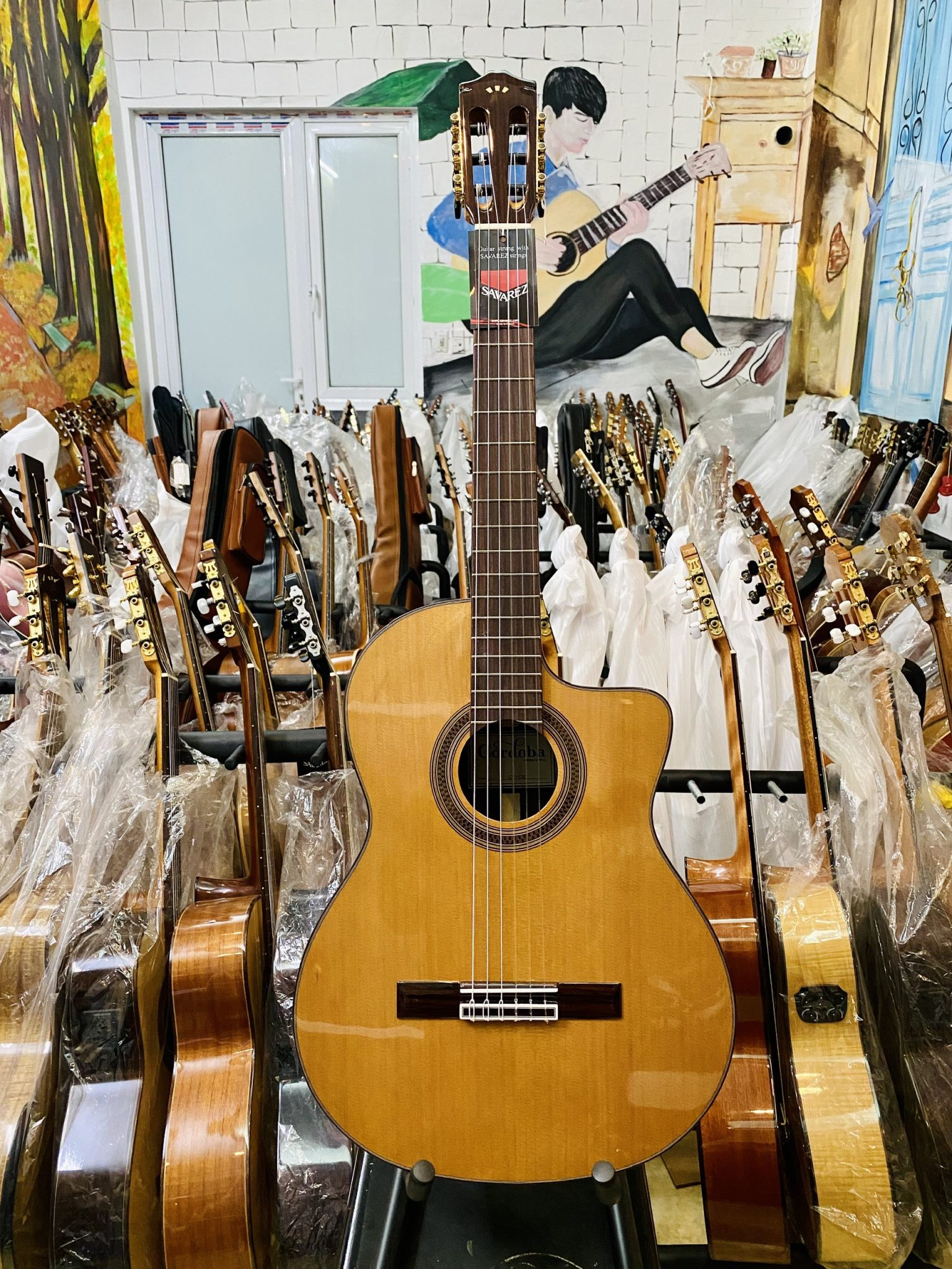 Đàn Guitar Classic Cordoba C7CE Chính Hãng