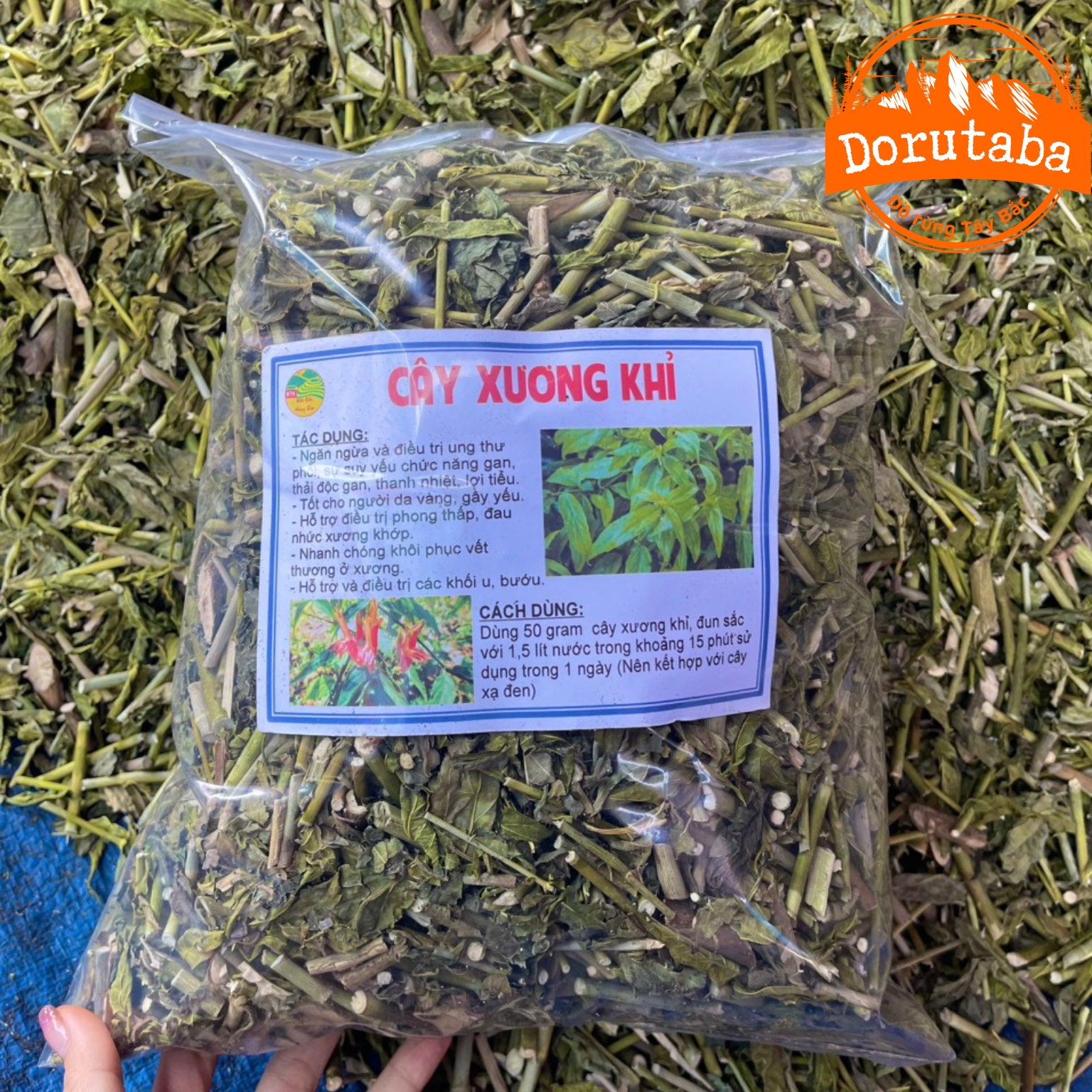 Cây bìm bịp khô loại 1 thu hái rừng, phơi khô tự nhiên từ cây bìm bịp, xương khỉ tươi