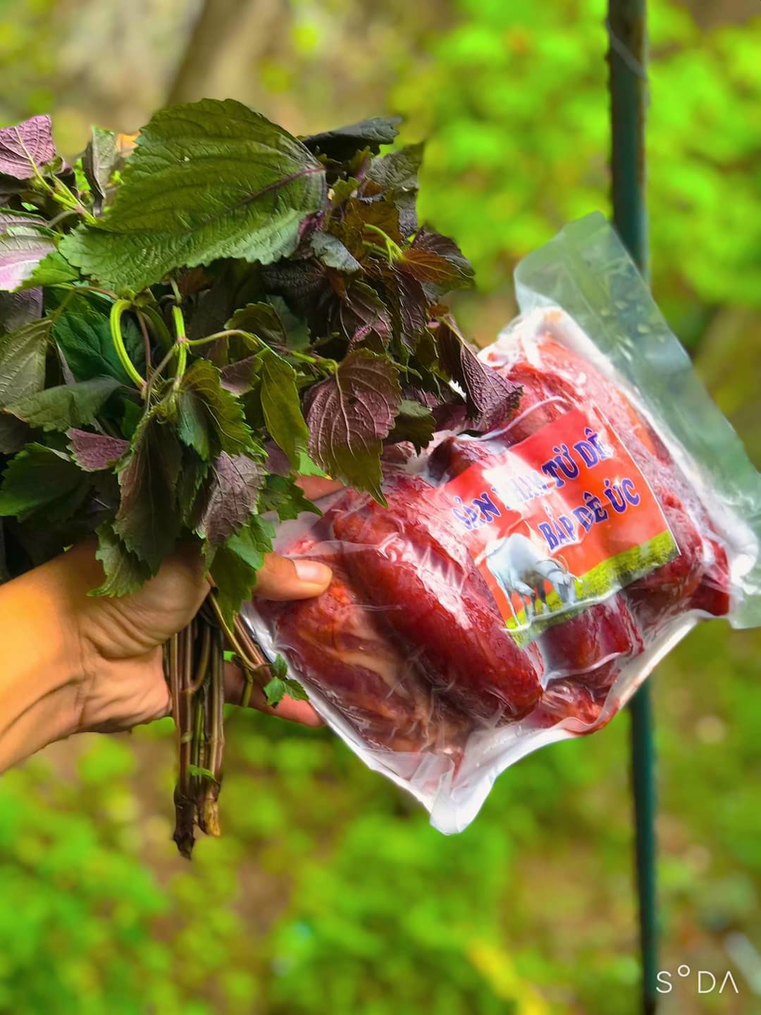 Bắp dê úc 1kg
