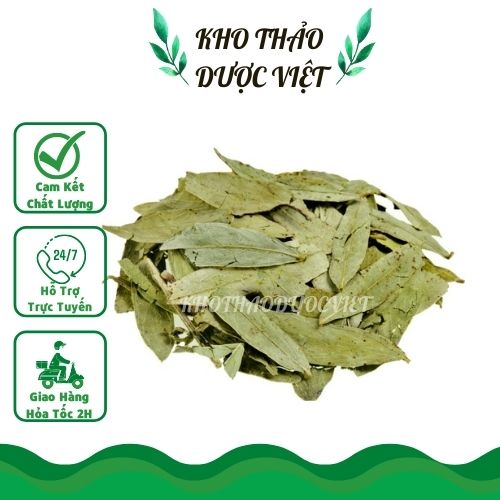 1 kg lá phan tả diệp khô hàng đẹp chuẩn xịn.