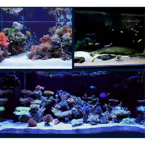 [HCM]CÁT THẠCH ANH (1KG) TRANG TRÍ HỒ CÁ BỂ CÁ-HÒN NON BỘ