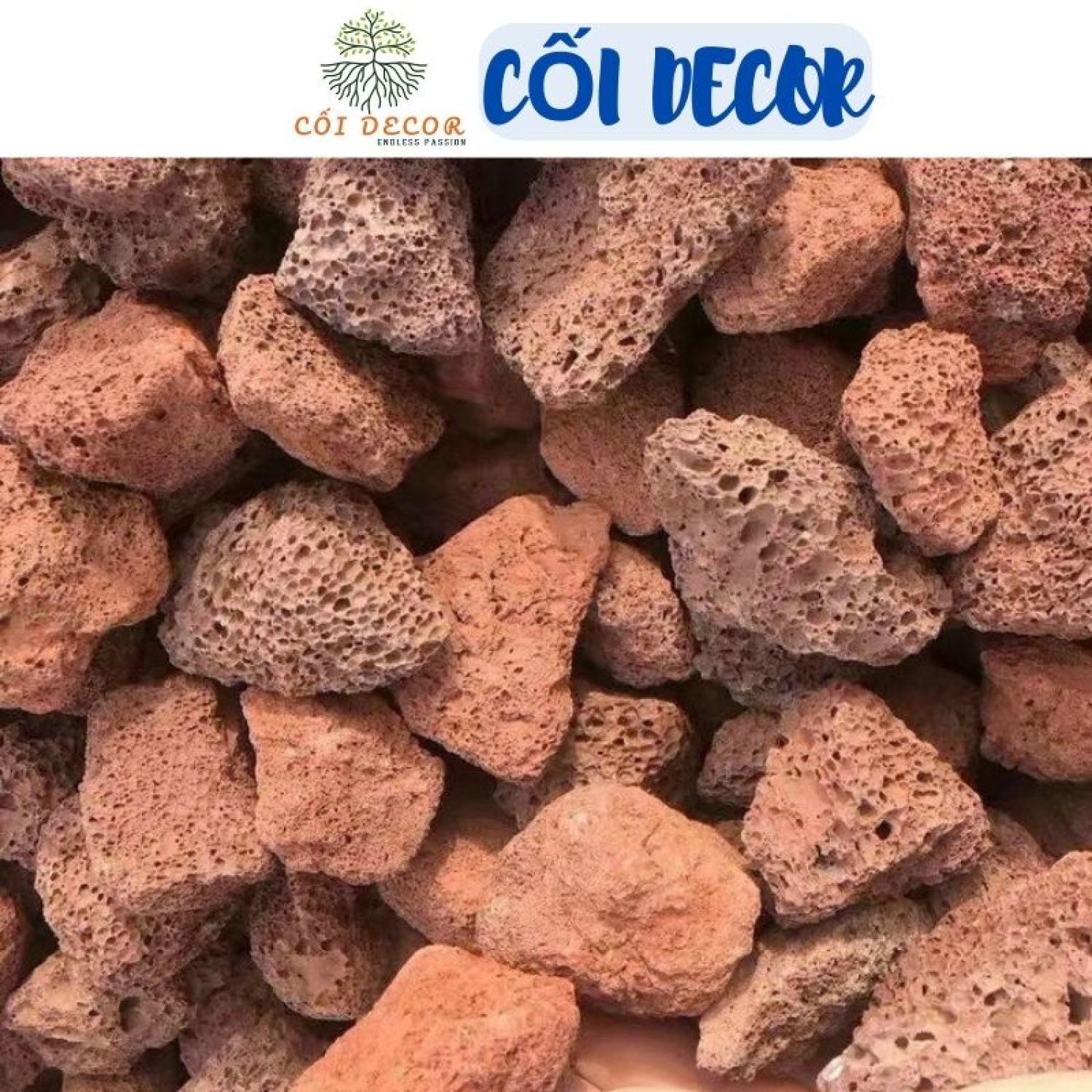 Lavar giá rẻ Tháng 7,2023|BigGo Việt Nam