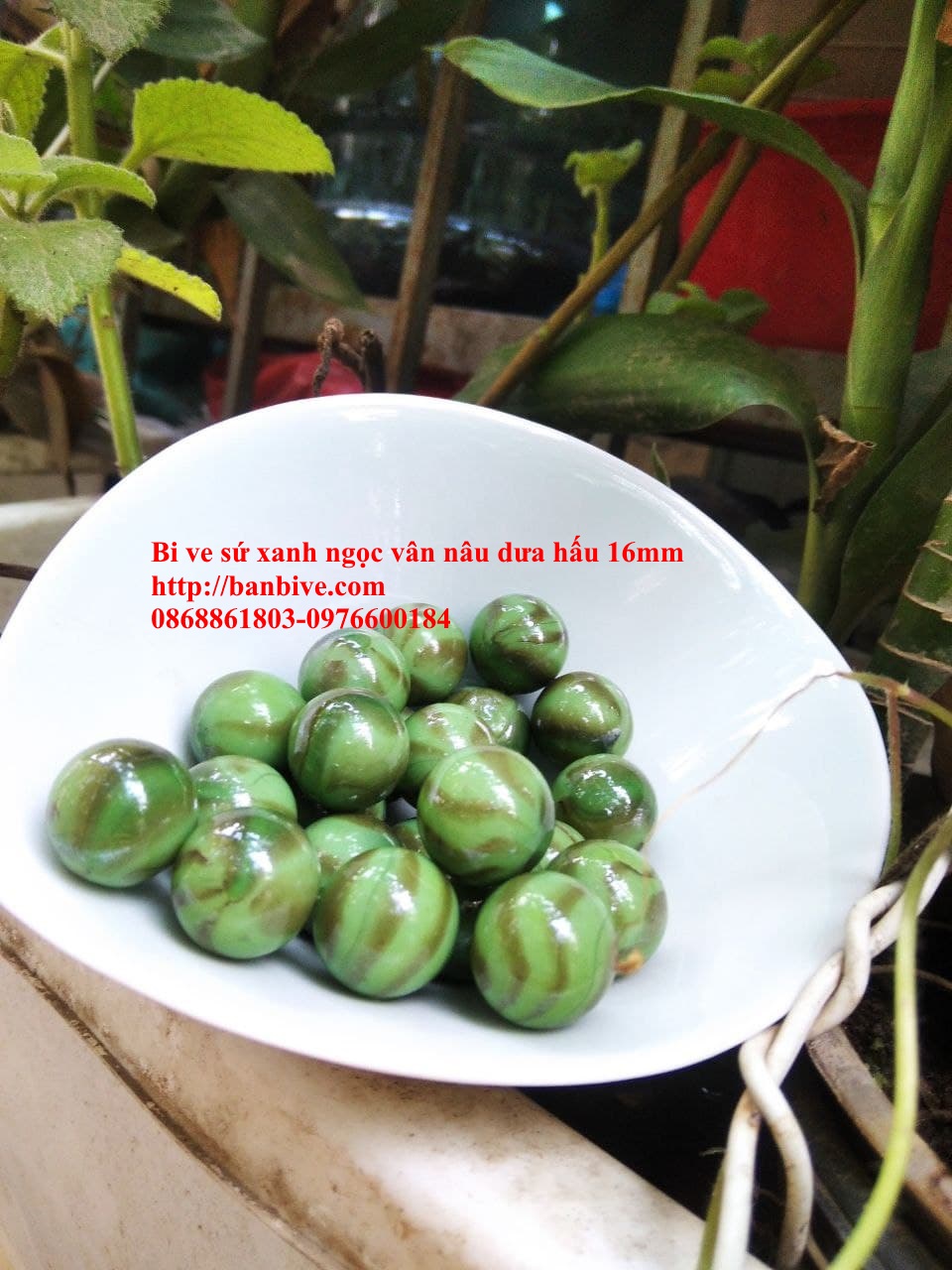 Bi ve - bộ viên bi sứ xanh ngọc vân nâu dưa hấu đường kính 1.6 cm bộ 10 viên