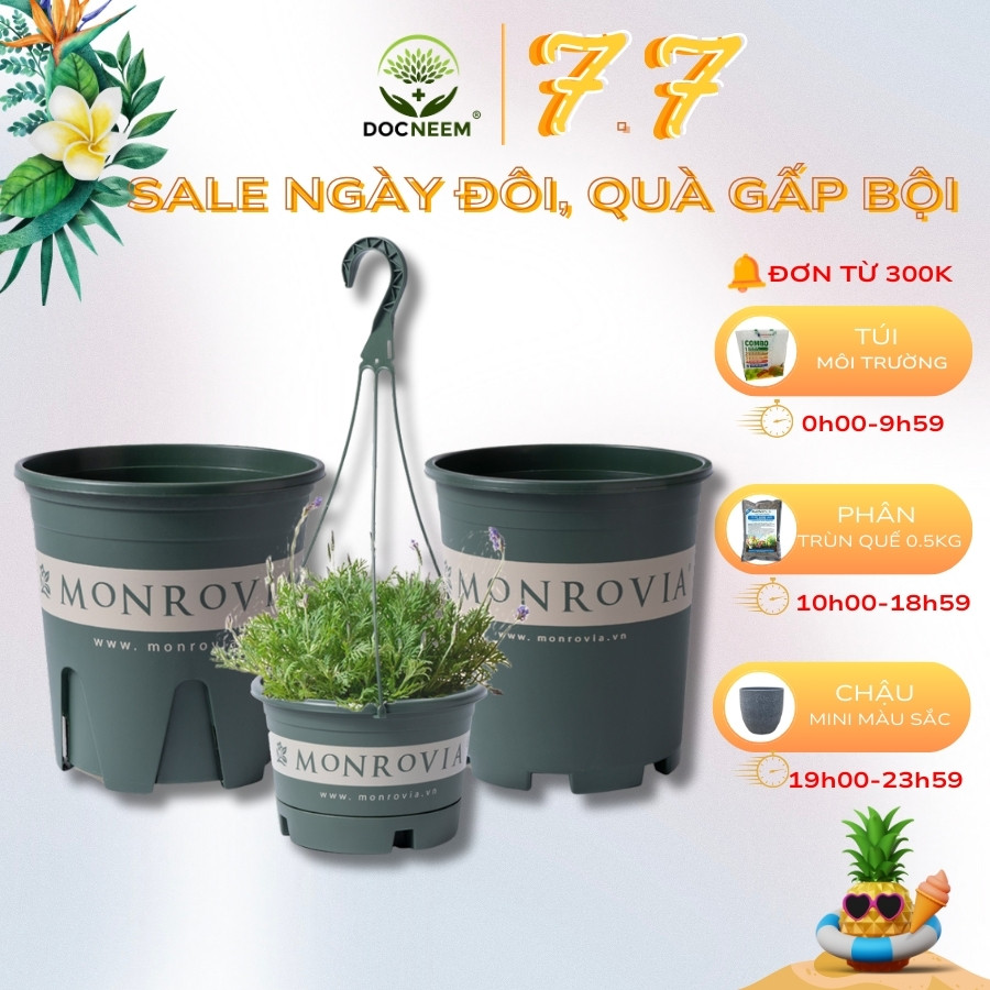 Chậu nhựa trồng cây MONROVIA, chậu trồng cây, chậu cây cảnh mini, để bàn, treo ban công, treo tường, cao cấp, chính hãng thương hiệu MONROVIA