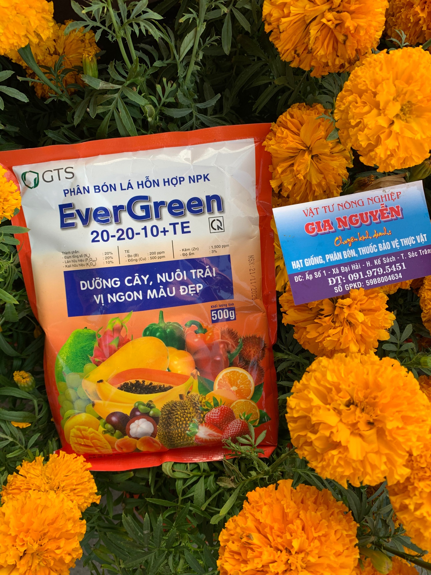 Phân bón lá hỗn hợp npk evergreen 20-20-10 +te 500g