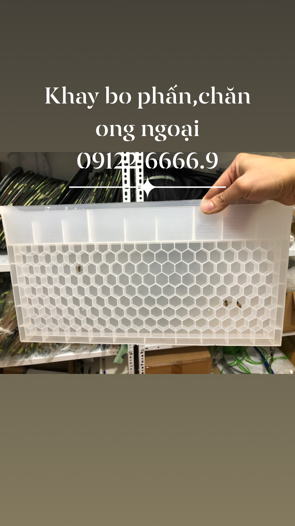 Khay bo phấn,chăn nuôi ong ngoại
