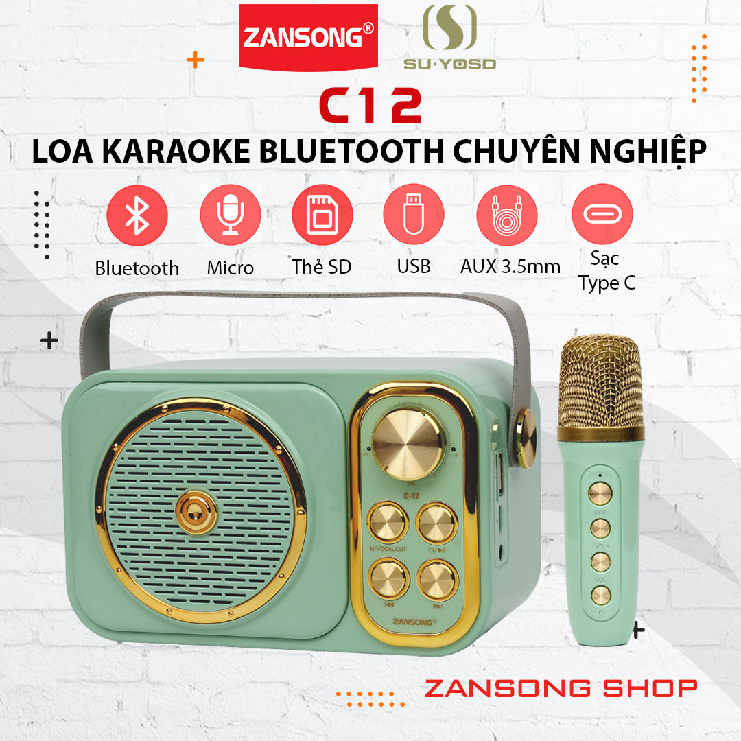 Loa karaoke bluetooth c12 kèm 1 micro không dây phong cách cổ điển