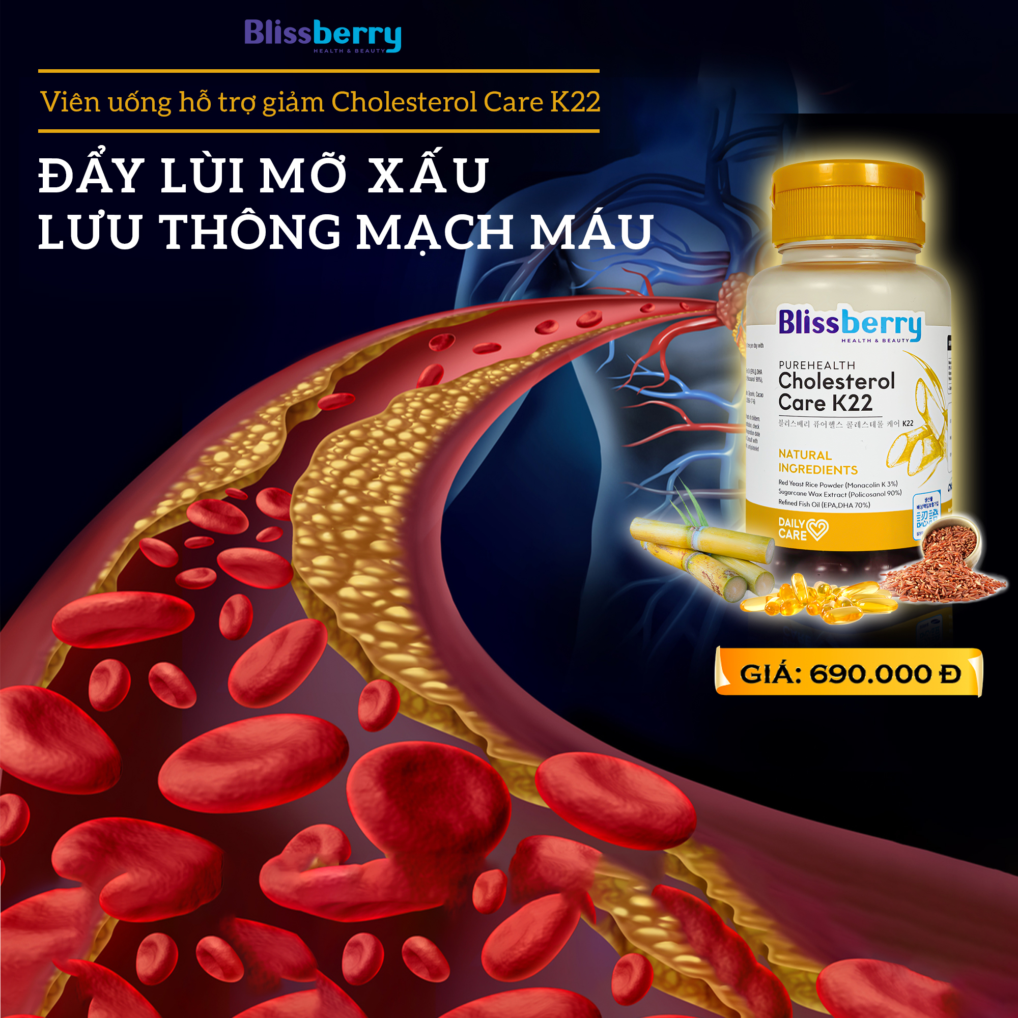 Viên uống giảm Cholesterol Blissberry Purehealth Cholesterol Care K22