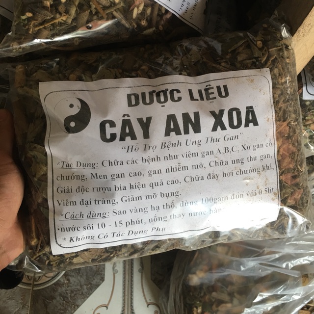 1Kg Cây an xoa chuẩn rừng Hoà Bình gan