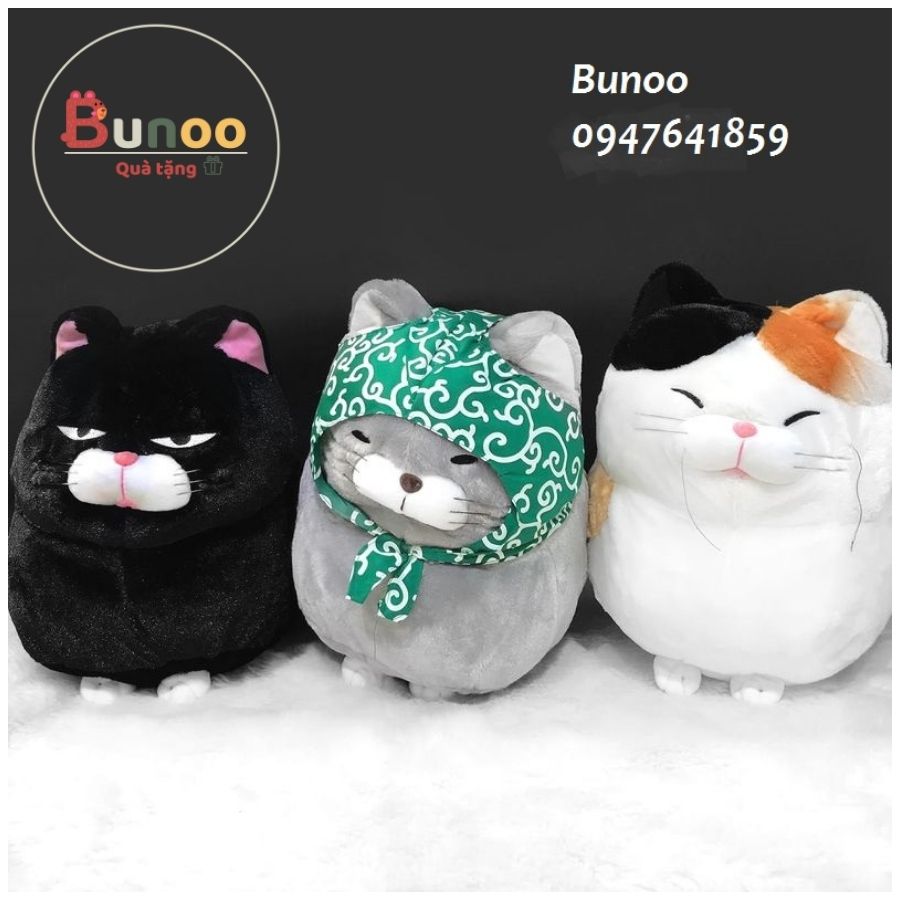 Gấu Bông Mèo Amuse Nhật Cao Cấp 3 Màu 30-40cm Bunoo Shop