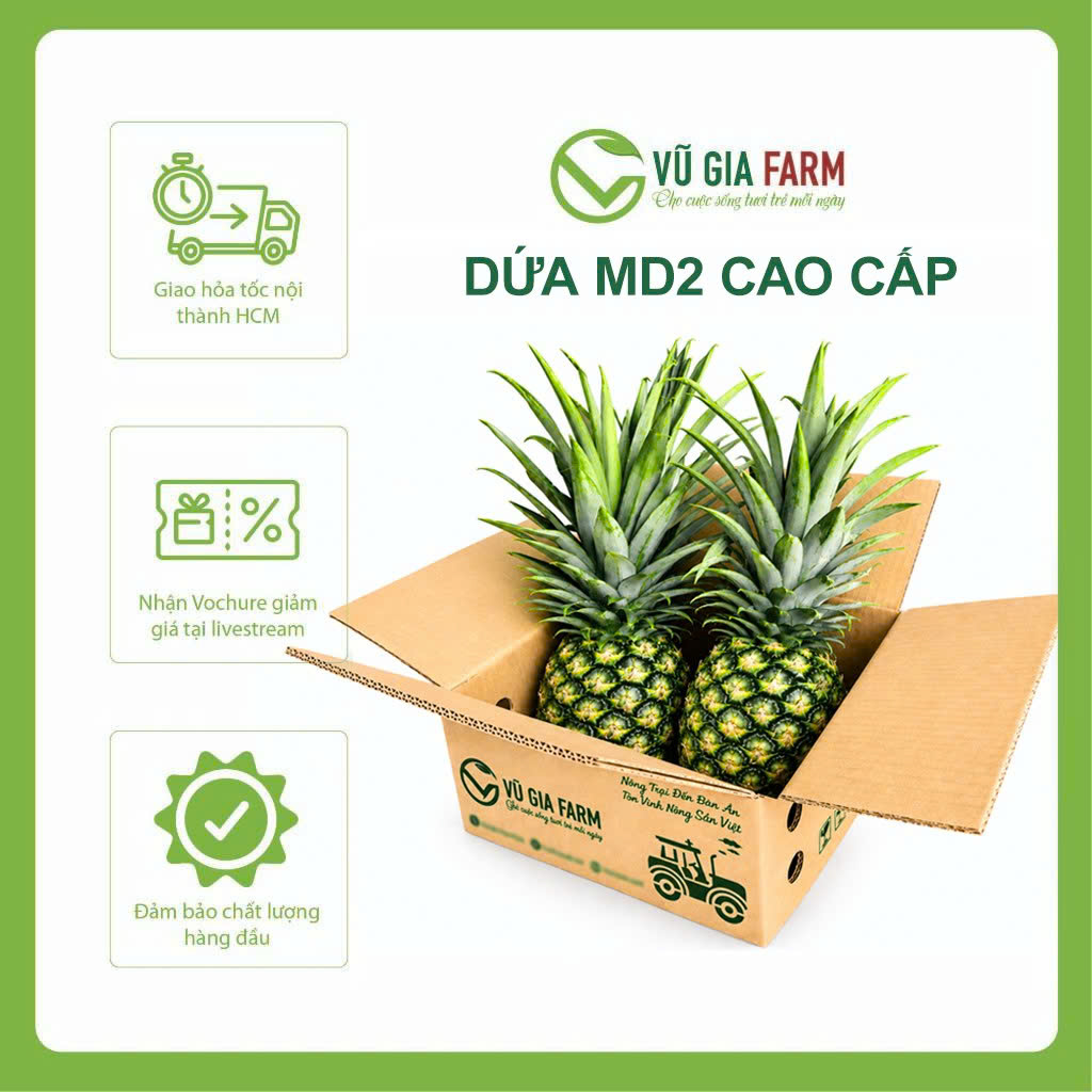 [TOÀN QUỐC] THÙNG 2-3 TRÁI Dứa MD2 Cao Cấp Đắk Lắk - Dứa Xuất Khẩu Ngọt Giòn Thơm Tươi Nguyên Trái