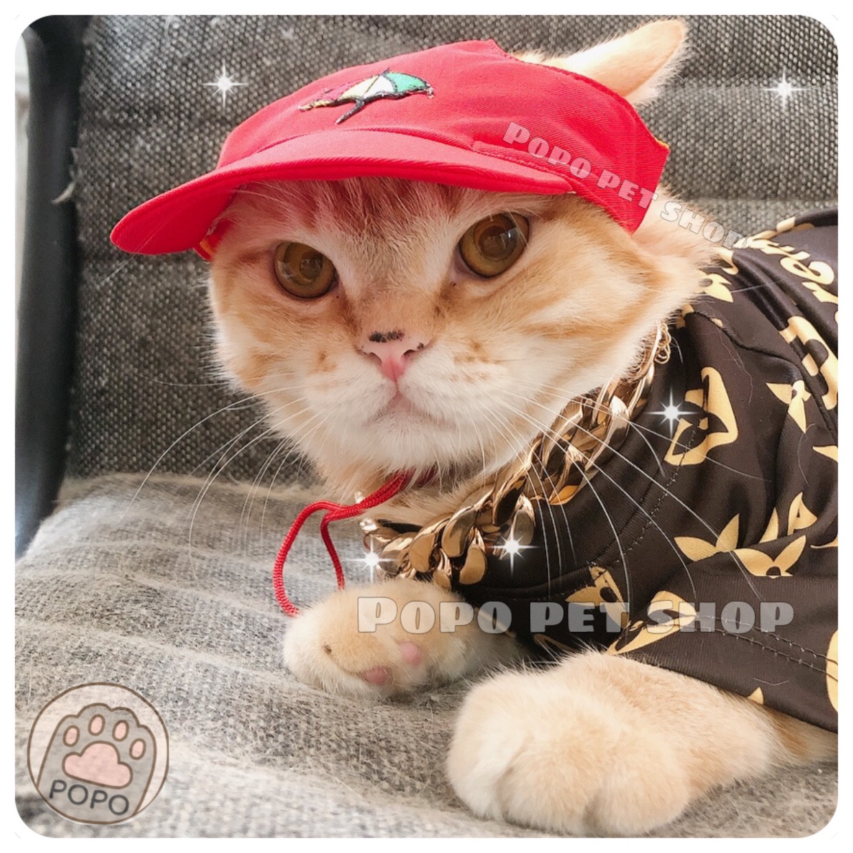 Nón Kết Kaki - Mũ Lưỡi Trai Kaki Cho Chó Mèo Thú Cưng