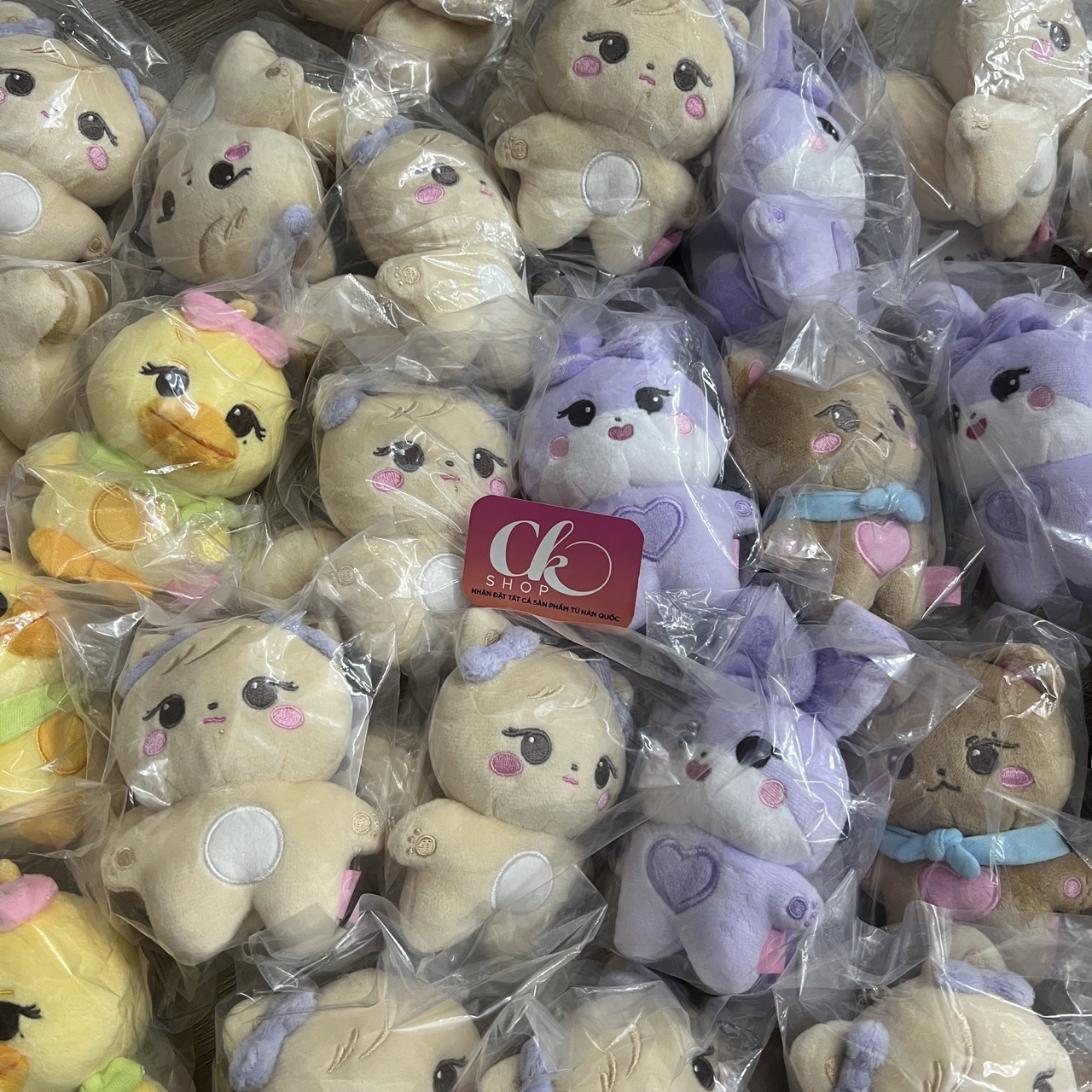 Móc khoá thú bông BLACKPINK keyring doll chính hãng công ty