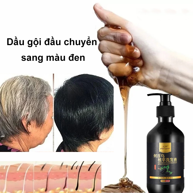 Hà Thủ Ô ngăn ngừa rụng tóc tóc trắng Dầu gội đầu chuyển sang màu đen Dầu gội thảo dược tự nhiên Sửa chữa tóc đen Dầu gội nhanh tự nhiên Vĩnh viễn Tinh chất thực vật hữu cơ cho nam giới và phụ nữ Trắng xám Màu tóc 300ml