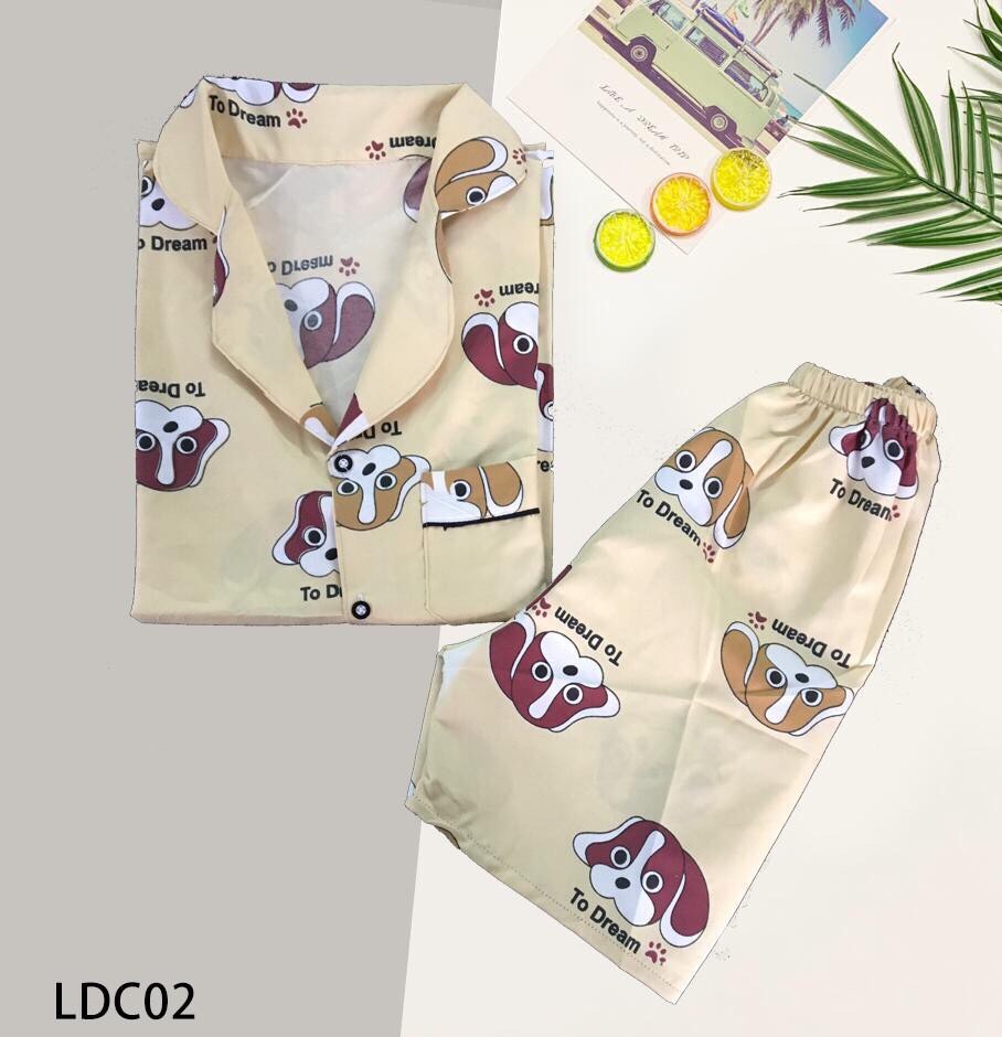 [Thanh Bắc Fashion] Bộ Đồ Pijama Ngắn Kate Đẹp , Đồ Ngủ Mẫu Hoạt Hình Size 35- 60kg