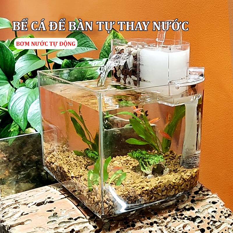 Bể cá mini, bể cá thuỷ sinh tự lọc nước thông minh để bàn trang trí văn phòng, phòng khách siêu đẹp