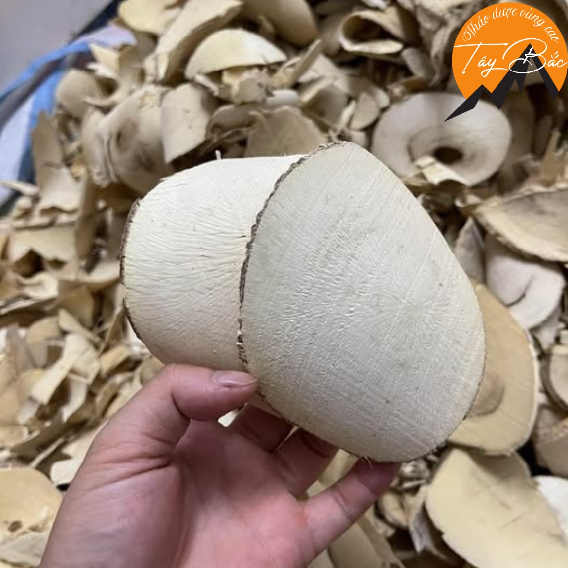 Thảo dược sâm béo trắng khô loại 1 (1kg), sâm béo trắng tăng cân cho người gầy