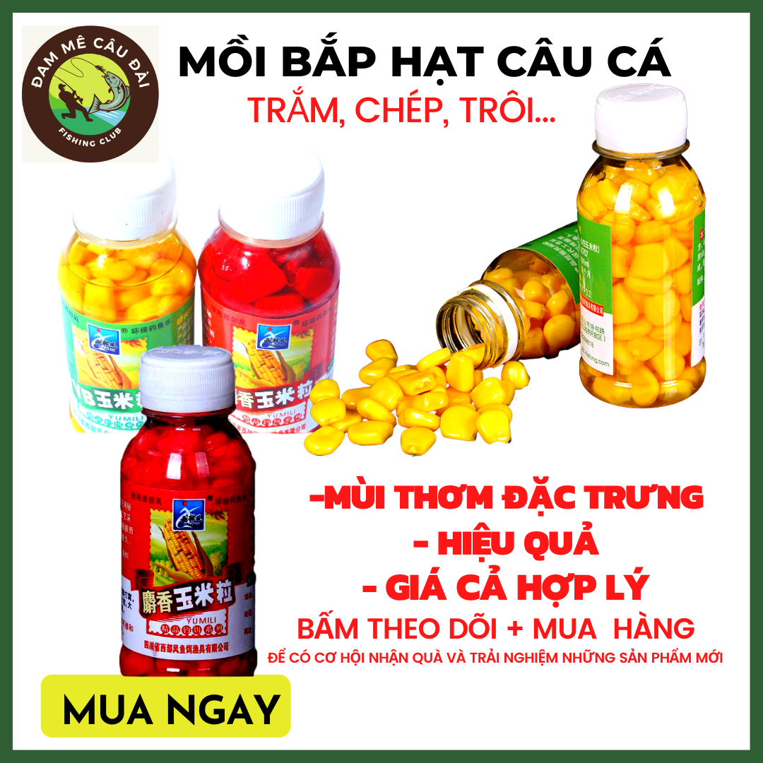 Bắp hạt câu cá chép , cá trắm,mồi câu chính hãng