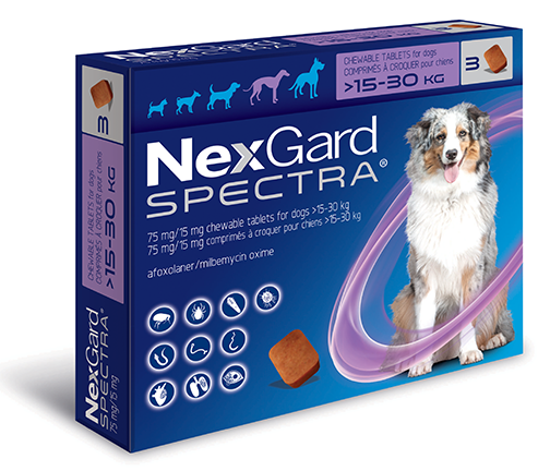 NEXGARD SPECTRA Phòng ve, bọ chét và tất cả các loại giun cho chó 15-30kg