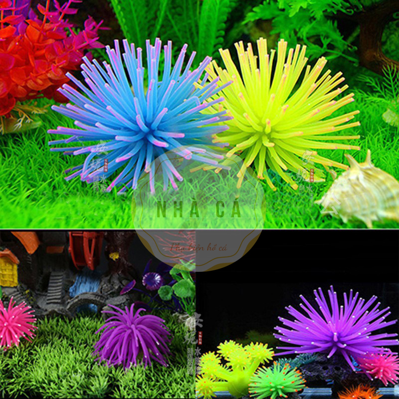 NHÍM BIỂN MINI - NHẮN TIN CHỌN MÀU - PHỤ KIỆN TRANG TRÍ HỒ CÁ- HỒ THỦY SINH