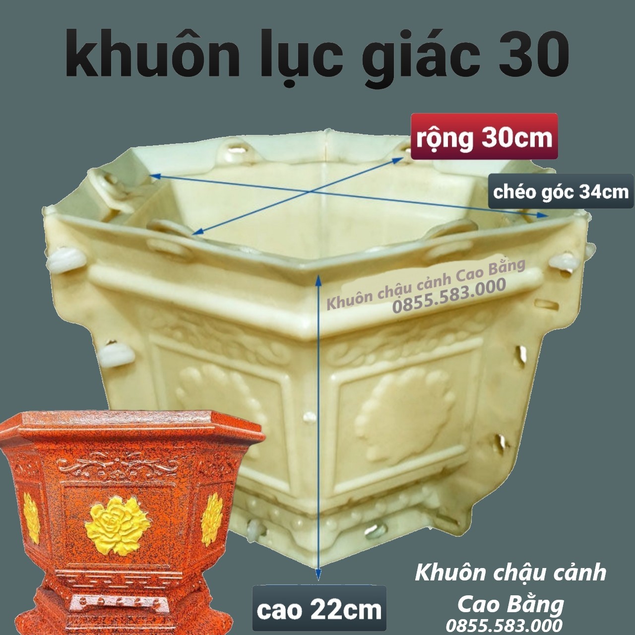 khuôn đúc chậu cảnh lục giác 30 (khuôn chậu ABS có lòng trong)
