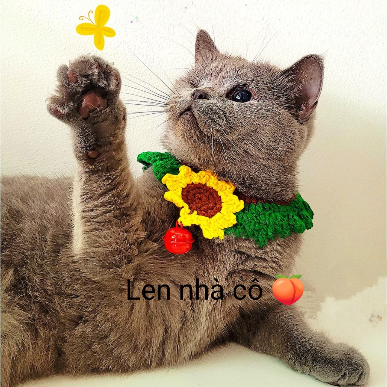 Vòng đeo cổ cho thú cưng