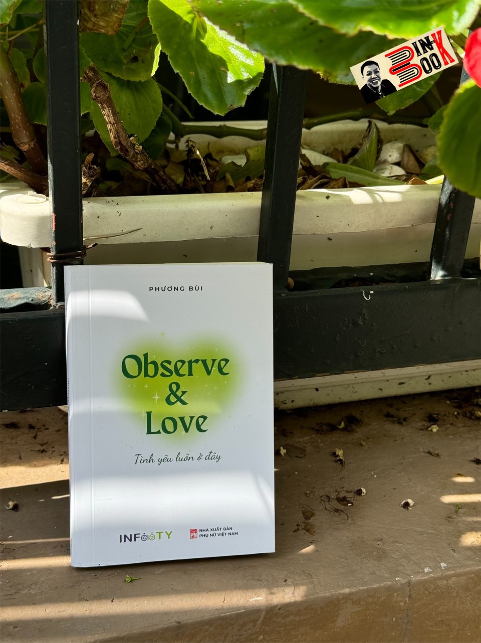 OBSERVE & LOVE TÌNH YÊU LUÔN Ở ĐÂY - Phương Bùi –  Infinity Books